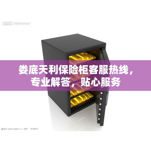 娄底天利保险柜客服热线，专业解答，贴心服务