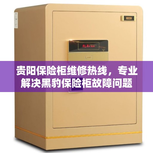贵阳保险柜维修热线，专业解决黑豹保险柜故障问题