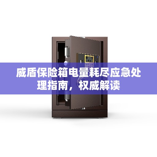 威盾保险箱电量耗尽应急处理指南，权威解读