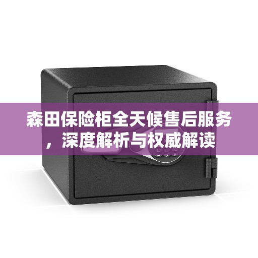森田保险柜全天候售后服务，深度解析与权威解读