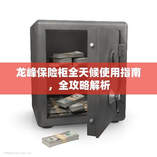 龙峰保险柜全天候使用指南，全攻略解析
