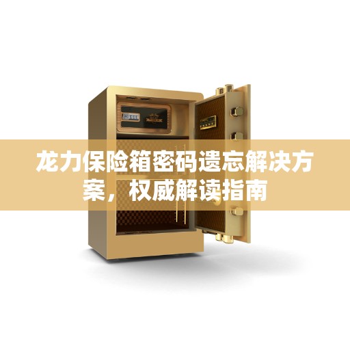 龙力保险箱密码遗忘解决方案，权威解读指南