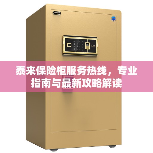 泰来保险柜服务热线，专业指南与最新攻略解读