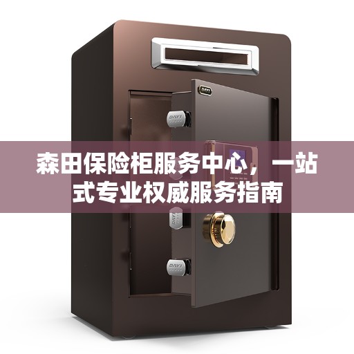 森田保险柜服务中心，一站式专业权威服务指南