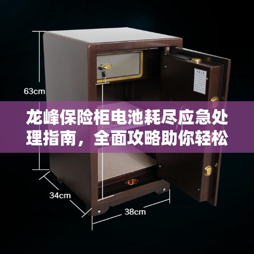 龙峰保险柜电池耗尽应急处理指南，全面攻略助你轻松应对
