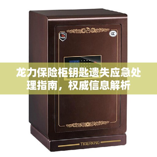 龙力保险柜钥匙遗失应急处理指南，权威信息解析