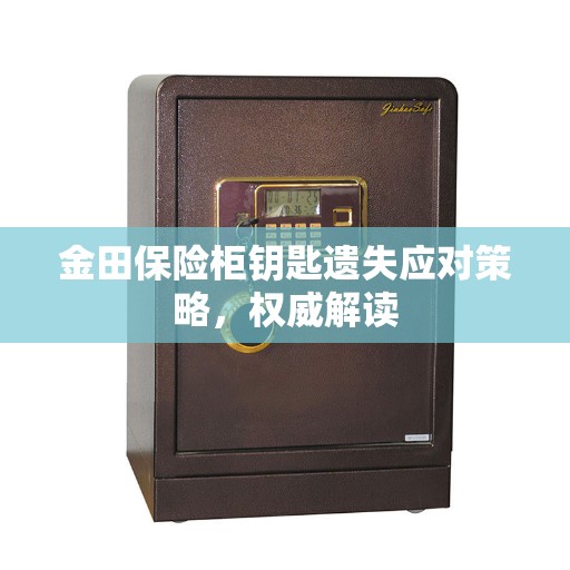金田保险柜钥匙遗失应对策略，权威解读