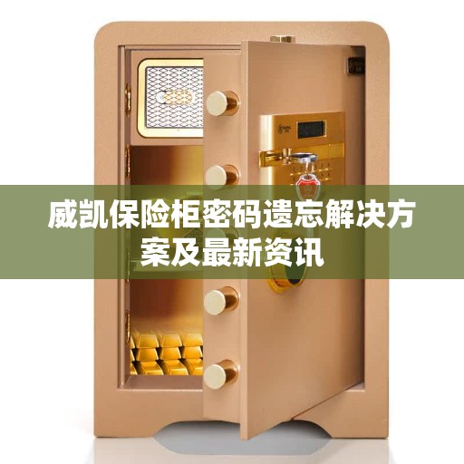 威凯保险柜密码遗忘解决方案及最新资讯