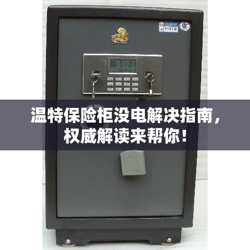 温特保险柜没电解决指南，权威解读来帮你！