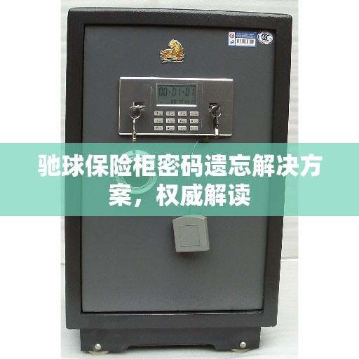 驰球保险柜密码遗忘解决方案，权威解读