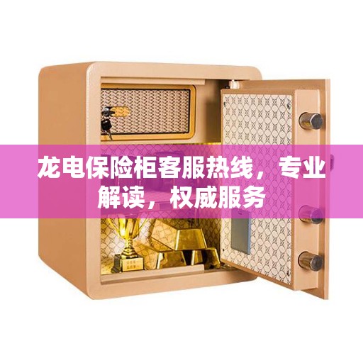 龙电保险柜客服热线，专业解读，权威服务