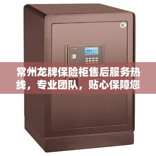 常州龙牌保险柜售后服务热线，专业团队，贴心保障您的安全需求