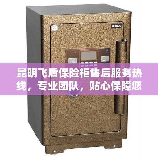 昆明飞盾保险柜售后服务热线，专业团队，贴心保障您的安全之选