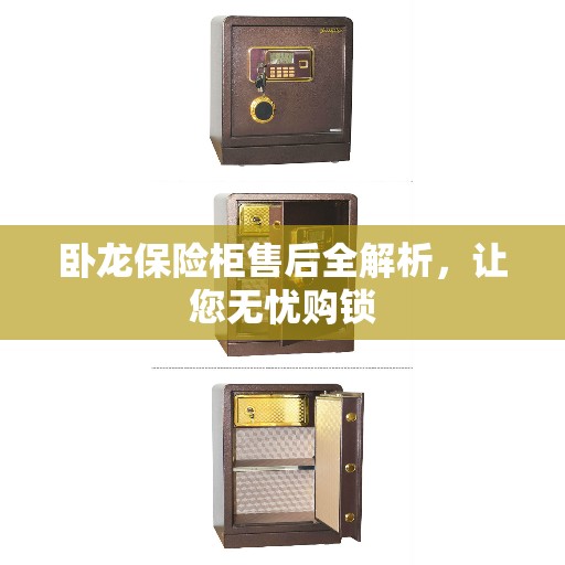 卧龙保险柜售后全解析，让您无忧购锁
