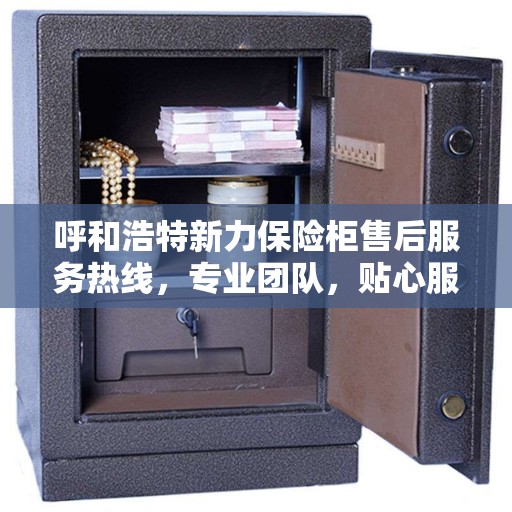 呼和浩特新力保险柜售后服务热线，专业团队，贴心服务，为您的保险柜问题提供解决方案