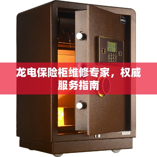 龙电保险柜维修专家，权威服务指南