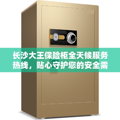 长沙大王保险柜全天候服务热线，贴心守护您的安全需求