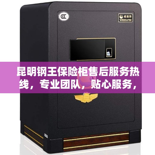 昆明钢王保险柜售后服务热线，专业团队，贴心服务，为您的安全保驾护航！