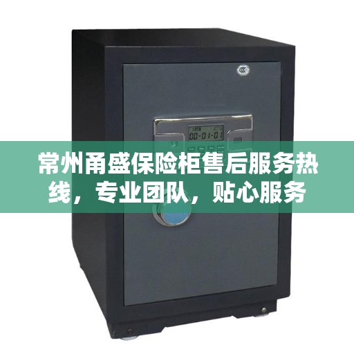 常州甬盛保险柜售后服务热线，专业团队，贴心服务
