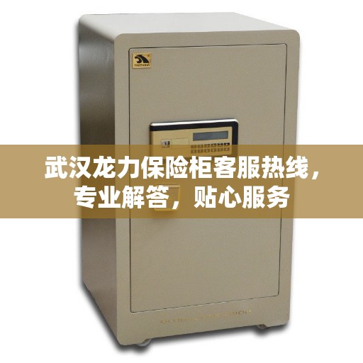 武汉龙力保险柜客服热线,专业解答,贴心服务 武汉龙力保险柜客服热线,专业解答,贴心服务