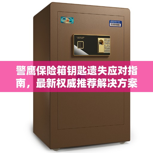 警鹰保险箱钥匙遗失应对指南，最新权威推荐解决方案