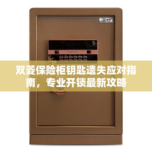 双菱保险柜钥匙遗失应对指南，专业开锁最新攻略