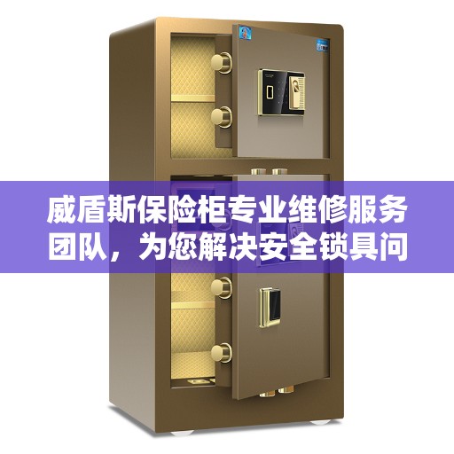 威盾斯保险柜专业维修服务团队，为您解决安全锁具问题