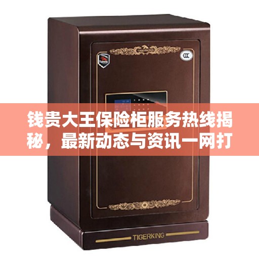 钱贵大王保险柜服务热线揭秘，最新动态与资讯一网打尽