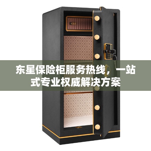 东星保险柜服务热线，一站式专业权威解决方案