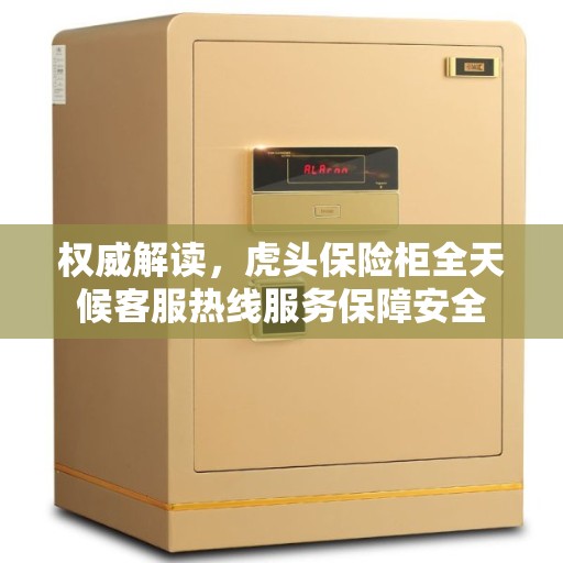 权威解读，虎头保险柜全天候客服热线服务保障安全