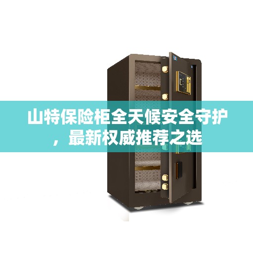 山特保险柜全天候安全守护，最新权威推荐之选