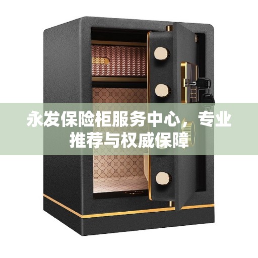 永发保险柜服务中心，专业推荐与权威保障