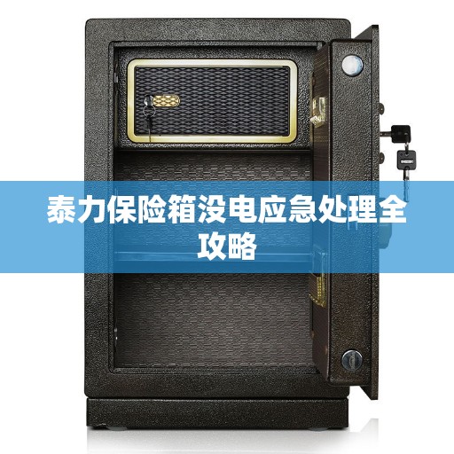 泰力保险箱没电应急处理全攻略