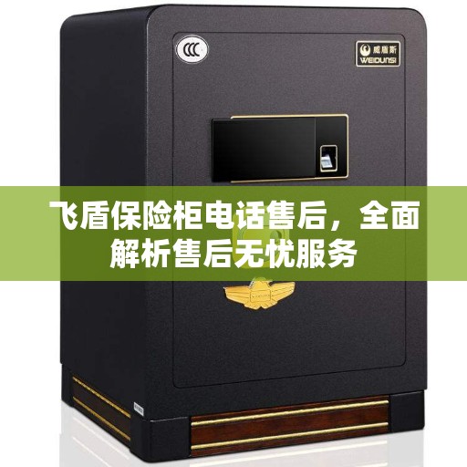 飞盾保险柜电话售后，全面解析售后无忧服务