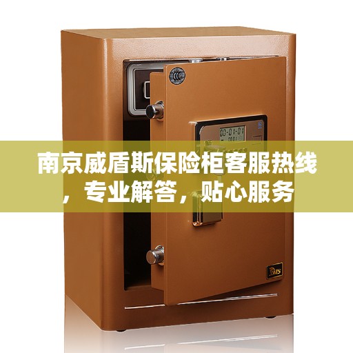 南京威盾斯保险柜客服热线，专业解答，贴心服务