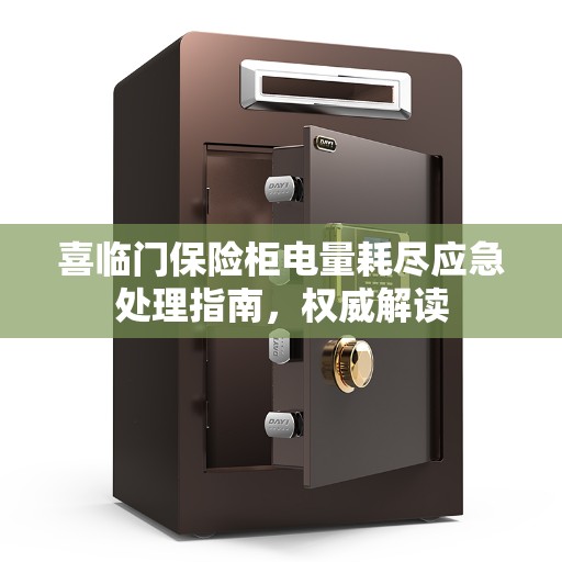 喜临门保险柜电量耗尽应急处理指南,权威解读 喜临门保险柜电量耗尽应急处理指南,权威解读