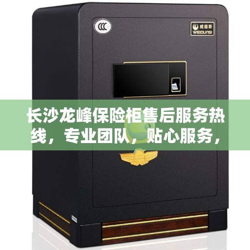 长沙龙峰保险柜售后服务热线，专业团队，贴心服务，为您解答安全存储疑难！
