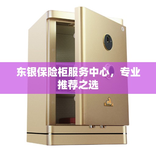 东银保险柜服务中心，专业推荐之选