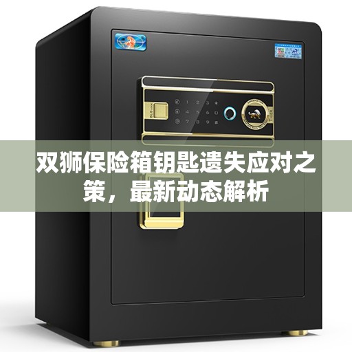 双狮保险箱钥匙遗失应对之策，最新动态解析