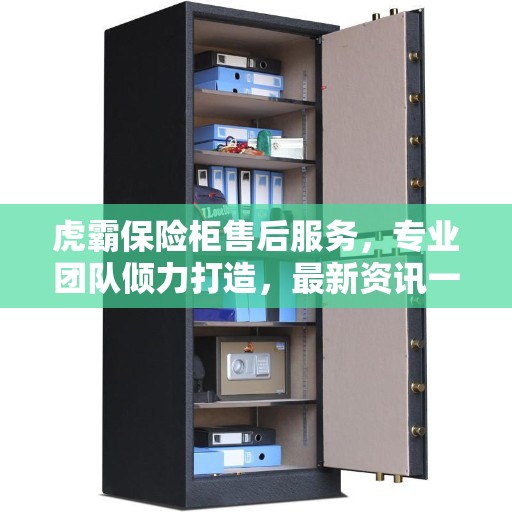 虎霸保险柜售后服务，专业团队倾力打造，最新资讯一网打尽