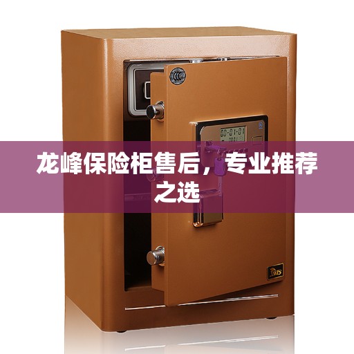 龙峰保险柜售后，专业推荐之选