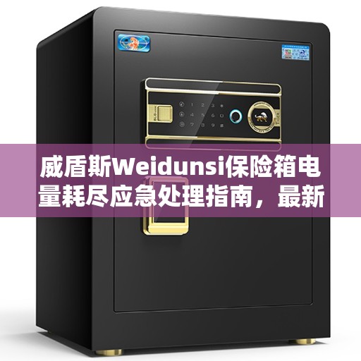 威盾斯Weidunsi保险箱电量耗尽应急处理指南，最新动态解读