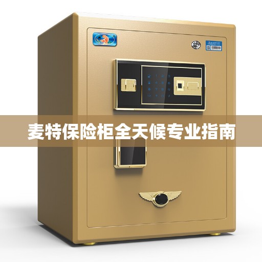 麦特保险柜全天候专业指南