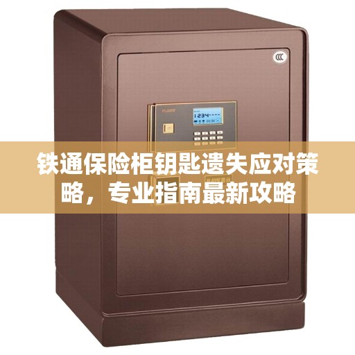 铁通保险柜钥匙遗失应对策略，专业指南最新攻略