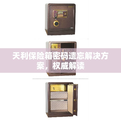 天利保险箱密码遗忘解决方案，权威解读