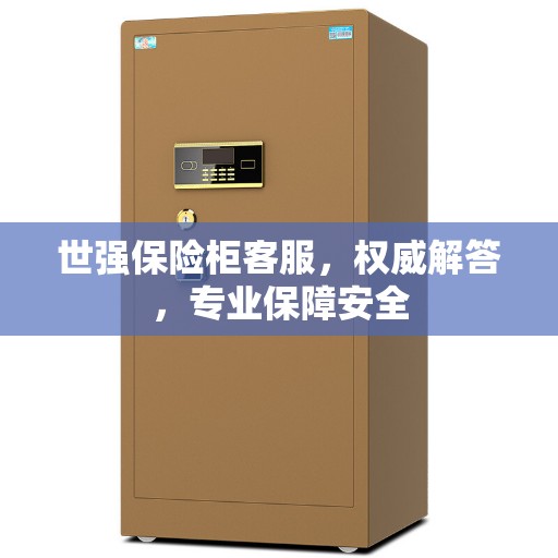 世强保险柜客服，权威解答，专业保障安全