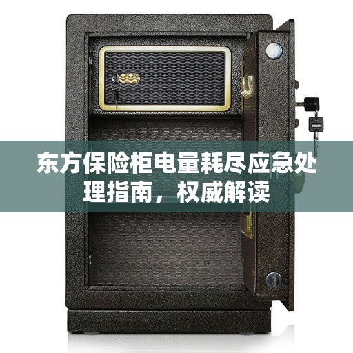 东方保险柜电量耗尽应急处理指南，权威解读