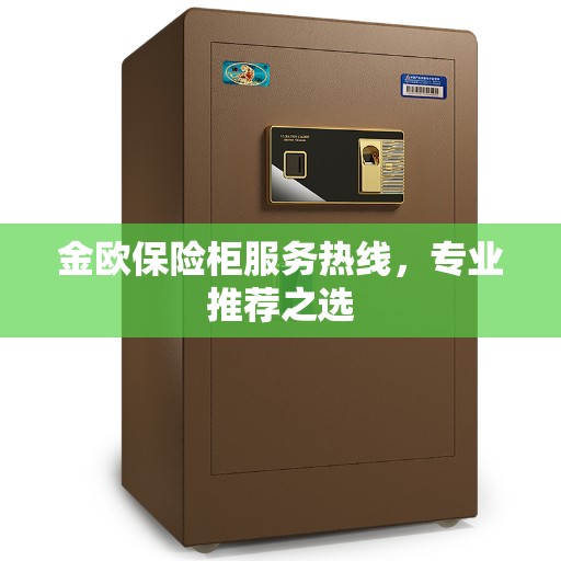 金欧保险柜服务热线，专业推荐之选