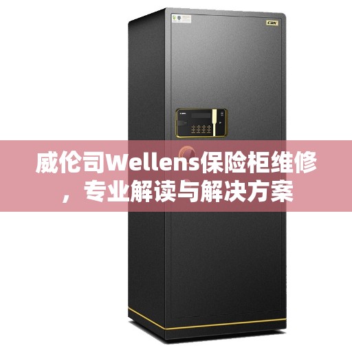 威伦司Wellens保险柜维修，专业解读与解决方案