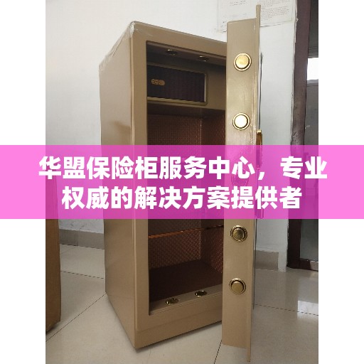 华盟保险柜服务中心，专业权威的解决方案提供者